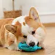 best teething toys for puppies